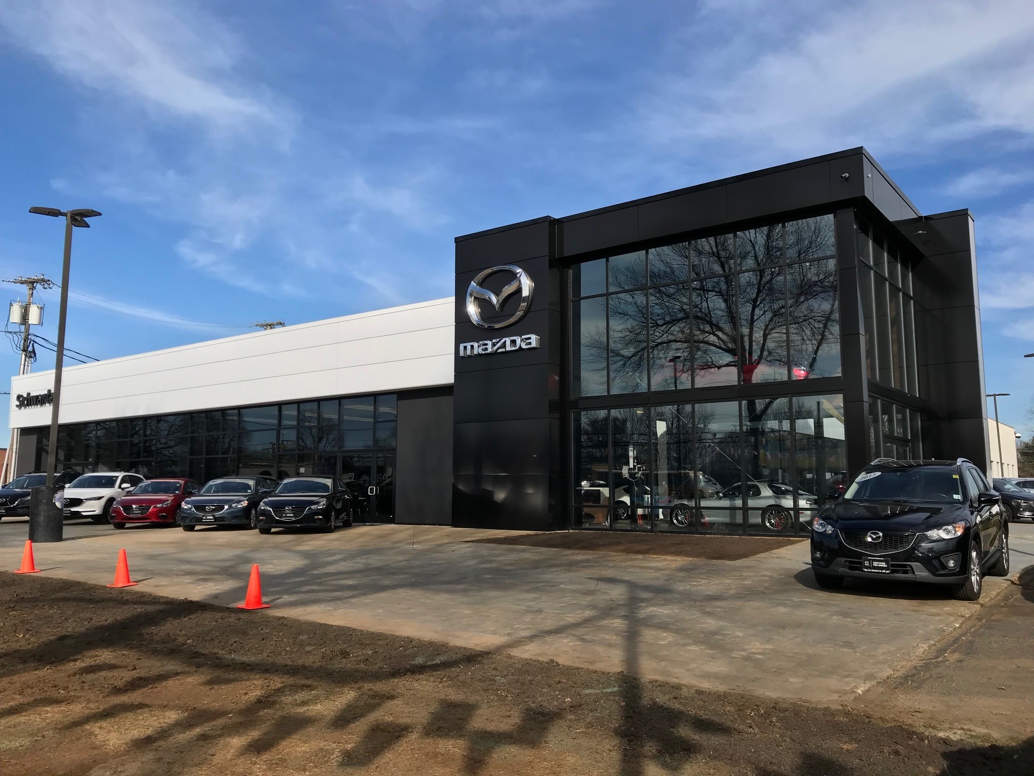 Schwartz Mazda