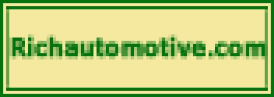 Rich Automotive Inc