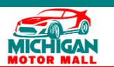 Michigan Motor Mall LLC