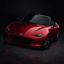 Hawk Mazda