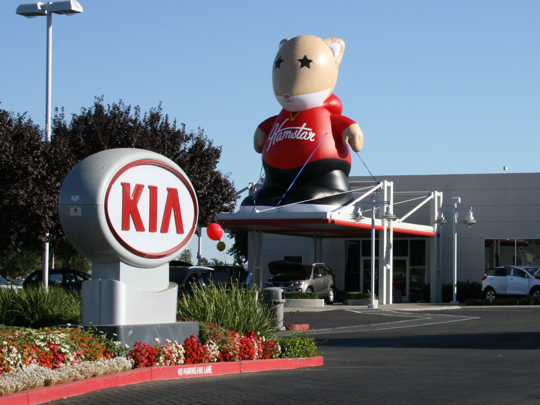Elk Grove Kia