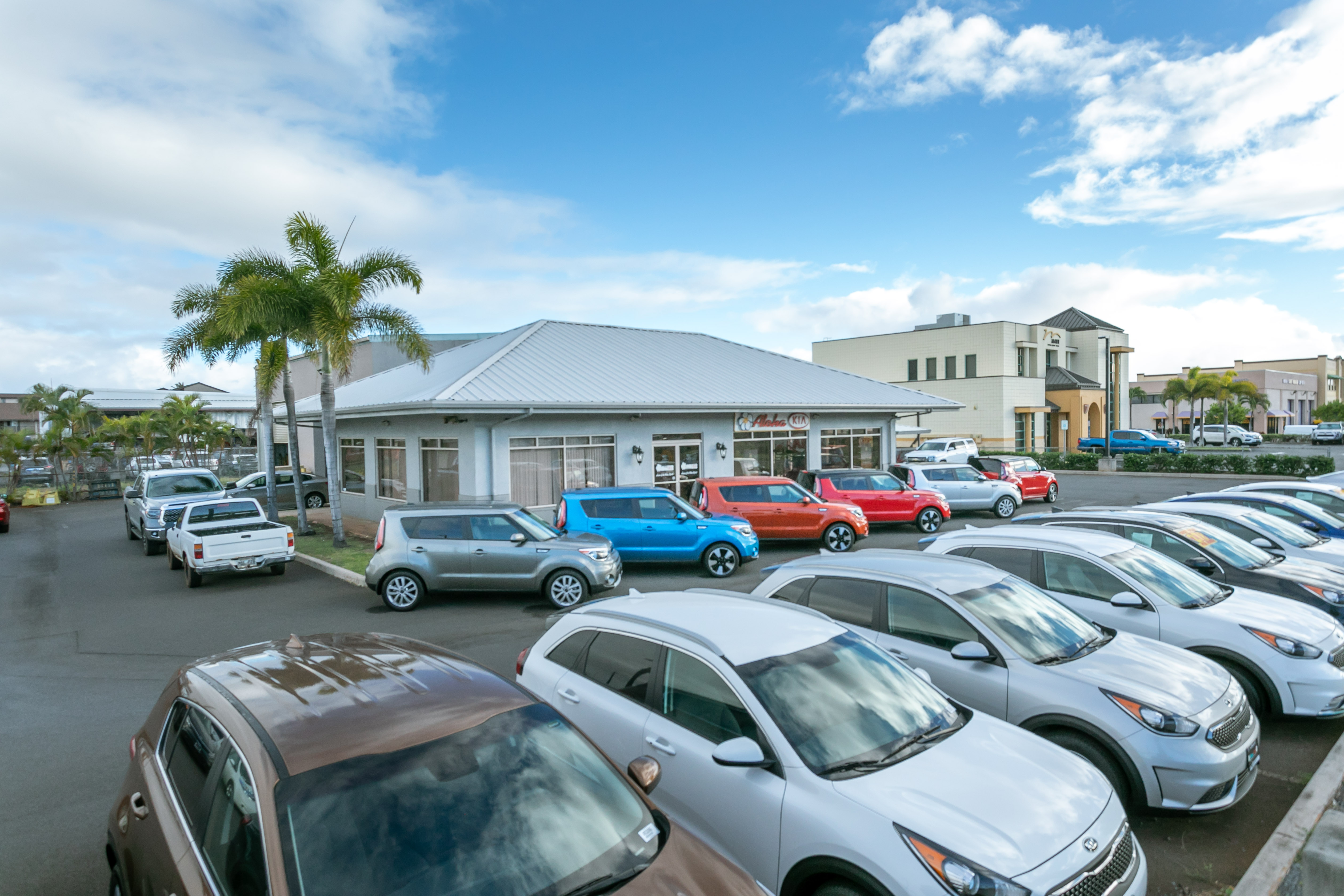 Aloha Kia Maui