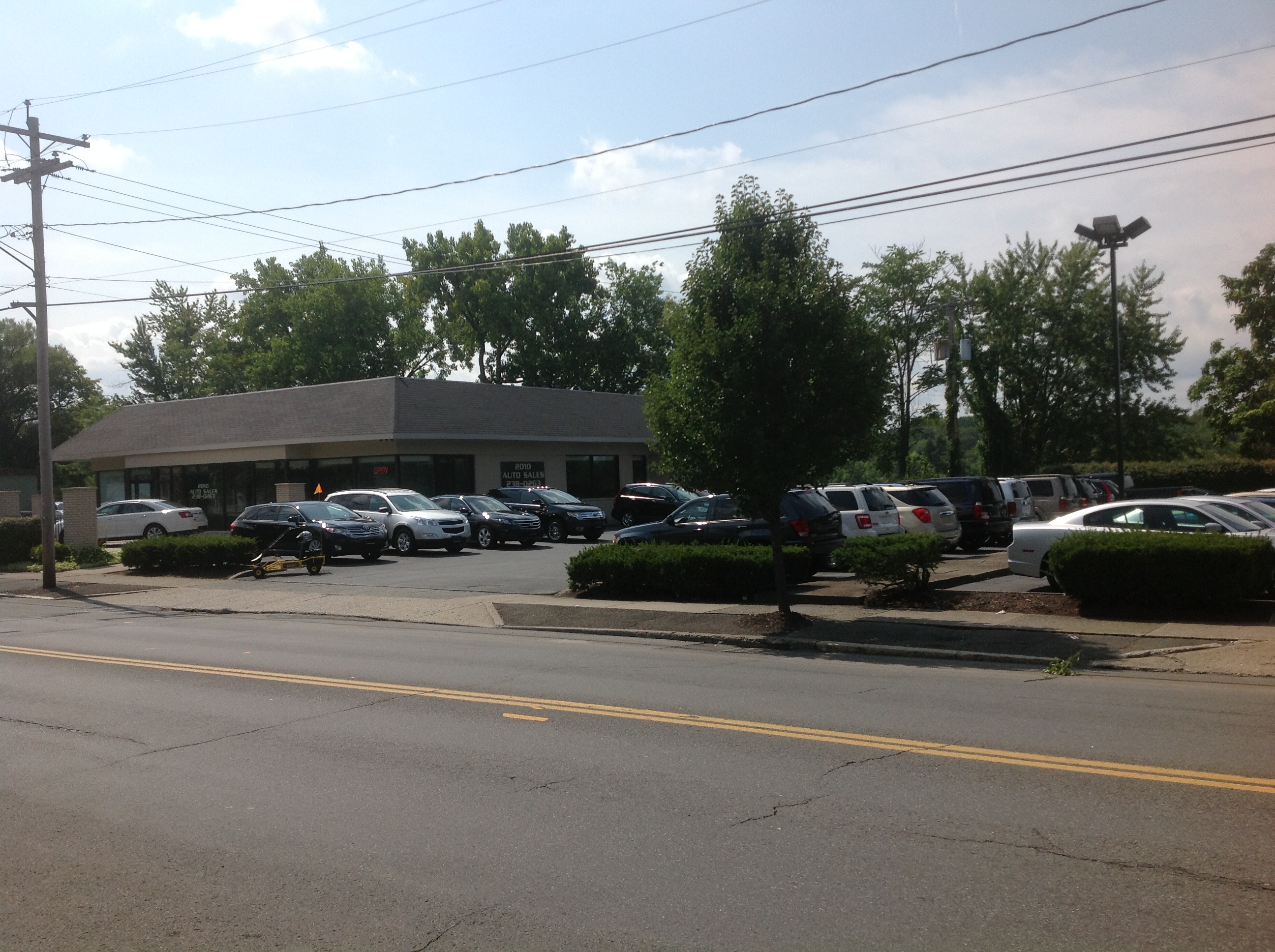 2010 Auto Sales