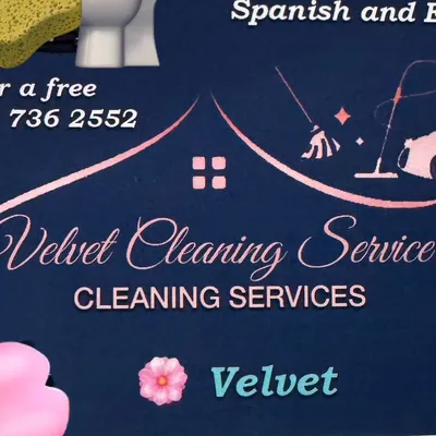 Velvet cleaning service