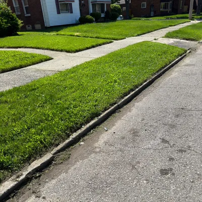 T&D Lawn Care inc.