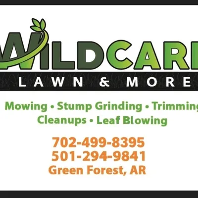 Wildcard Lawn and more
