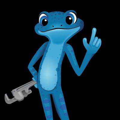Bluefrog Plumbing & Drain Of San Antonio