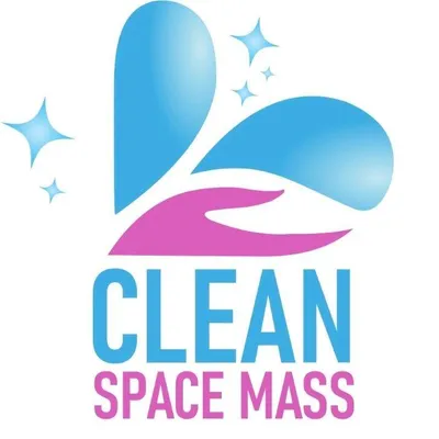 Clean Space Mass