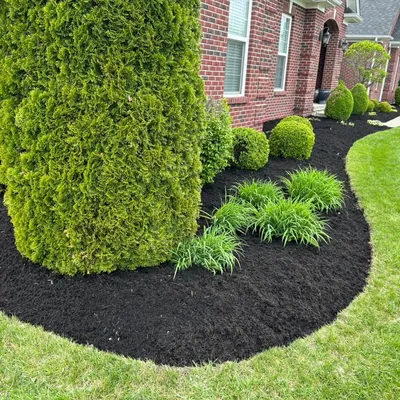Bad Grass Lawn and Landscaping LLC
