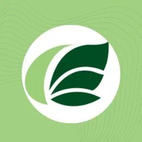 L. Alves Services