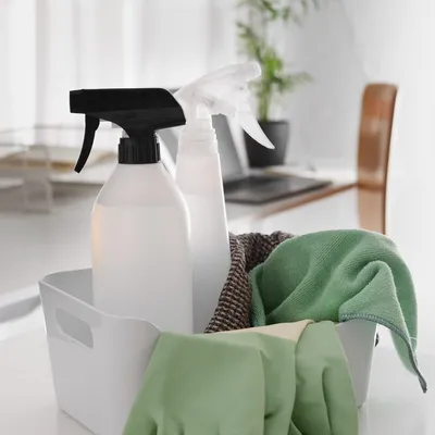 Exquisite Clean Team