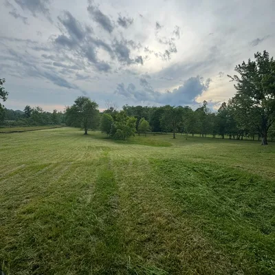 Bushmasters Land and Property Management LLC