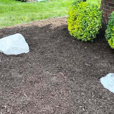 Mikes lawn care