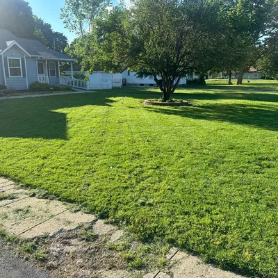 Levi’s lawn and landscape