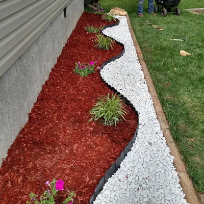 A touch of grass