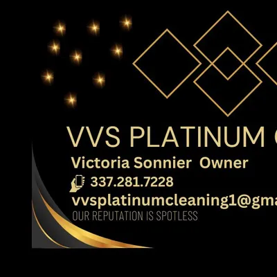 VVS PLATINUM CLEANING SERVICE