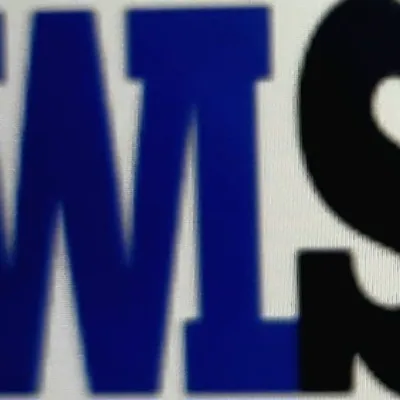 Western Light Services