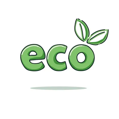 Eco Cleaning