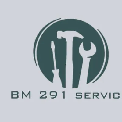 Bm291services