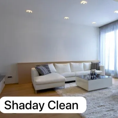 Shaday Clean