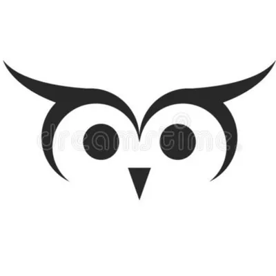 Owl shine & clean