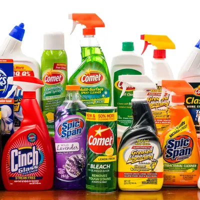 The Cleaner