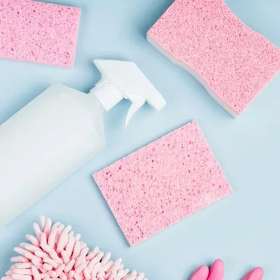 Clean Living