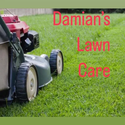 Damian’s lawn care
