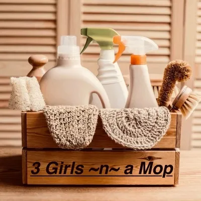 3 Girls ~n~a Mop