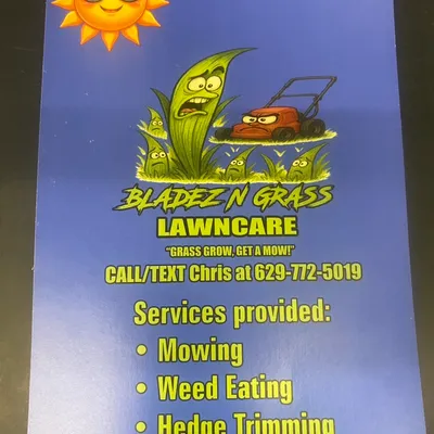 Bladez N Grass Lawn Care