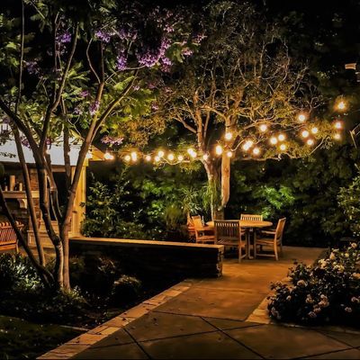 Tampa Nightscapes and Landscape Designs