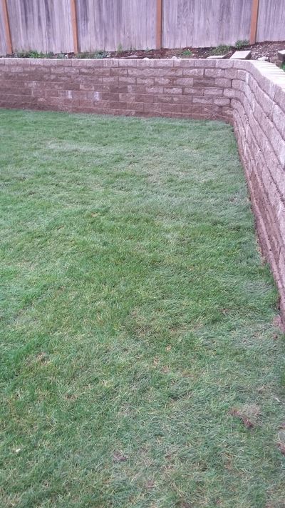 Vision Landscapes & Paint