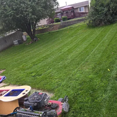 hinkel Lawn care