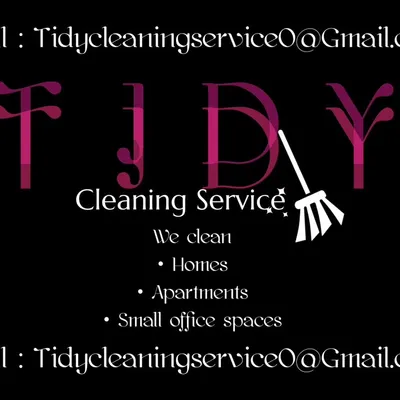 Tidy Cleaning Service