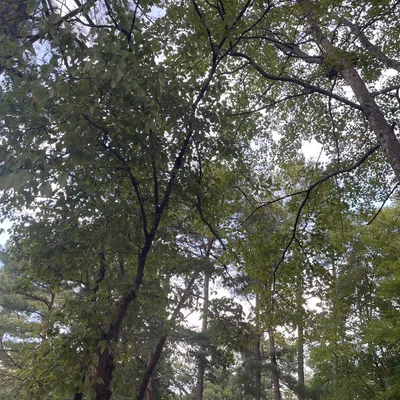 G&M landscape Company