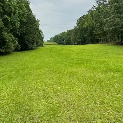 Mars Moving