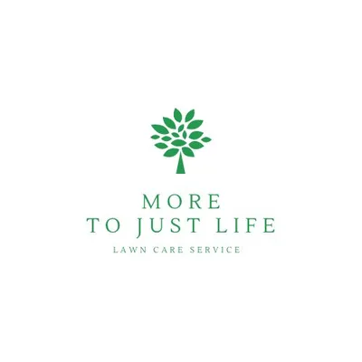 More to just life llc