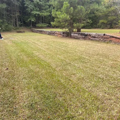 Deon’s landscape