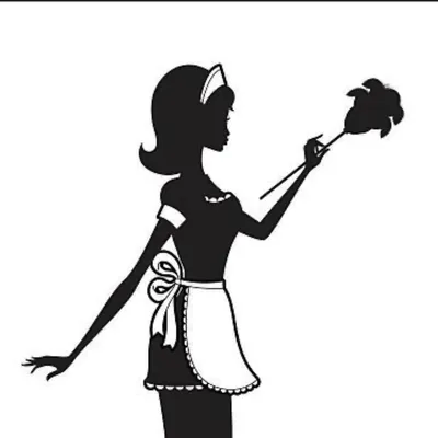 Girls Next Door Cleaning Services
