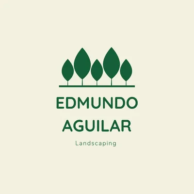 Edmundo LLC landscaping