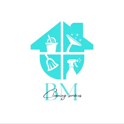 BM Professional Cleaning