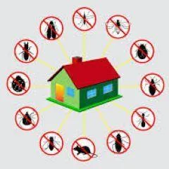 Complete Pest Control Services