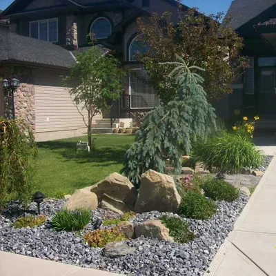 Evergreen lawn services