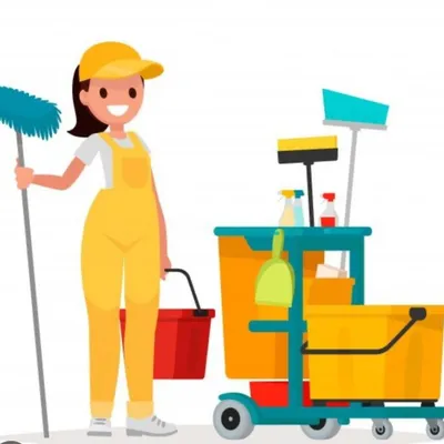 Cleaning and Services V&C