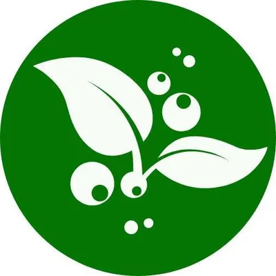 Green Streak Cleaners, LLC