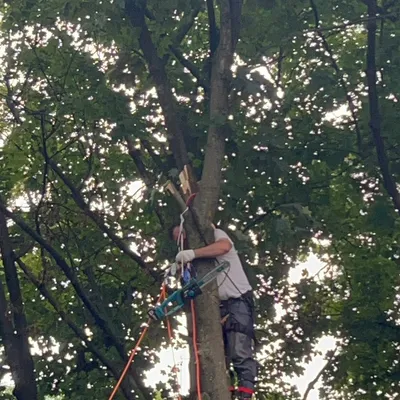 Noah