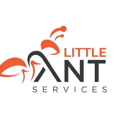 Little Ant