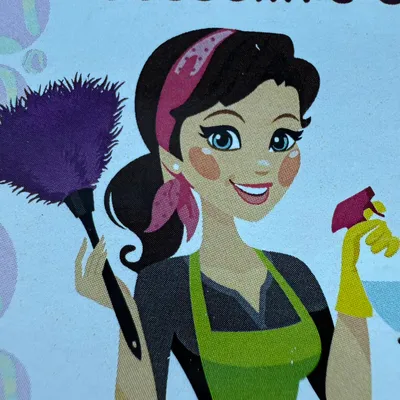 Josselin cleaning service