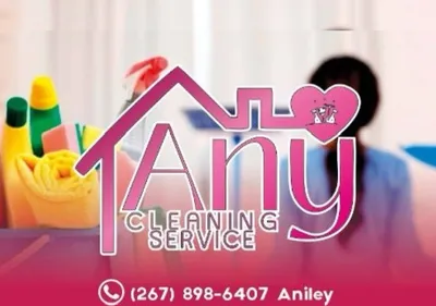 Anny cleaning service 5 starts