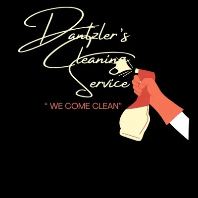 DAN CLEANER SERVICES LLC